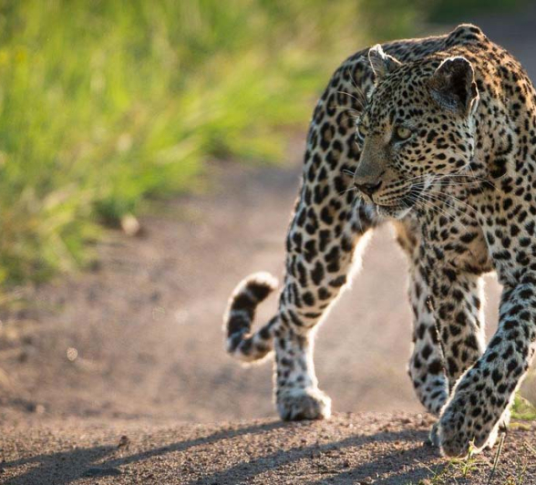 Terry Ennever HighlightsDecJan7