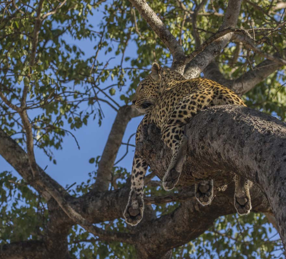 04Kyle Lisbon Queen Of The South 2