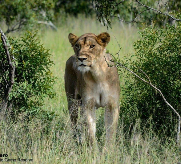 05Ronald Mutero Sp Females 08022020 2 Final