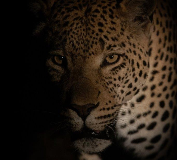 B12Tyron Van Der Walt White Dam 260821 Portrait Final B12Tyron Van Der Walt White Dam 260821 Portrait Final