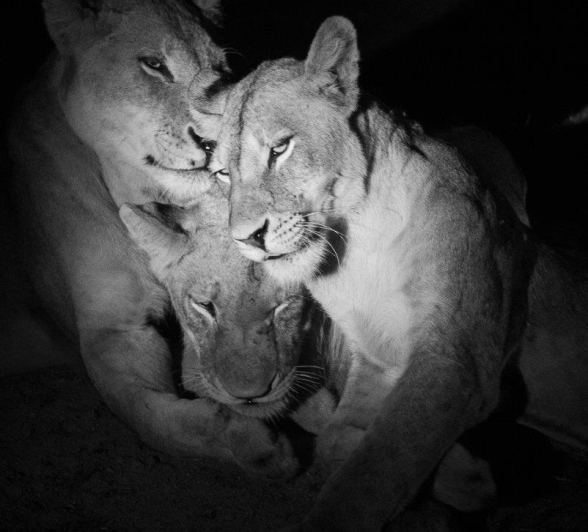 A45Jason Street Styx 031222 2. Final