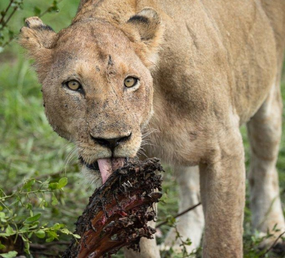 B13Daniel Greyvenstein Styx Pride 150123 2 Final