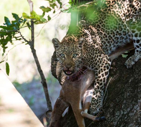 04Terry Ennever LBC2 26 11 15