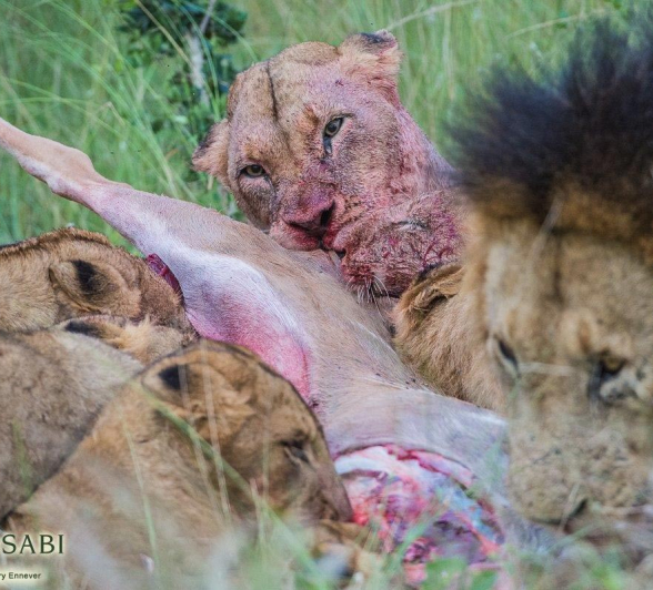 13Terry Ennever MM 20317 2 Final 13Terry Ennever MM 20317 2 Final