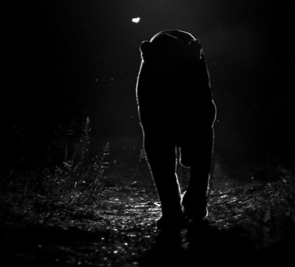 21Kevin Van Der Linde Maxabeni 16042019 2 Final