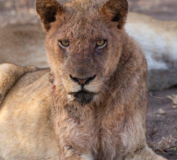 20Louise Murray Styx 25072019 1 Final 20Louise Murray Styx 25072019 1 Final