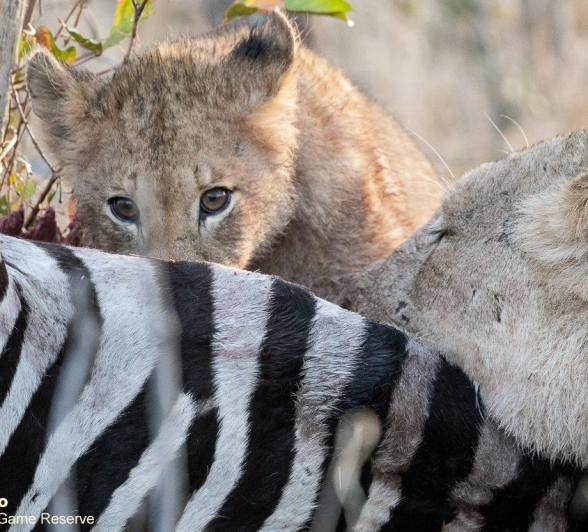 A13Ronald Mutero Stix On Kill 09082021 6 Final