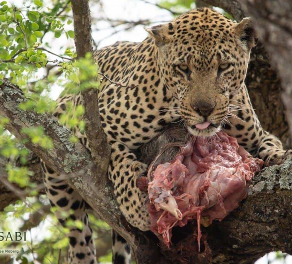 21Kerry Lee Roberg Xovon 221018.2 Final