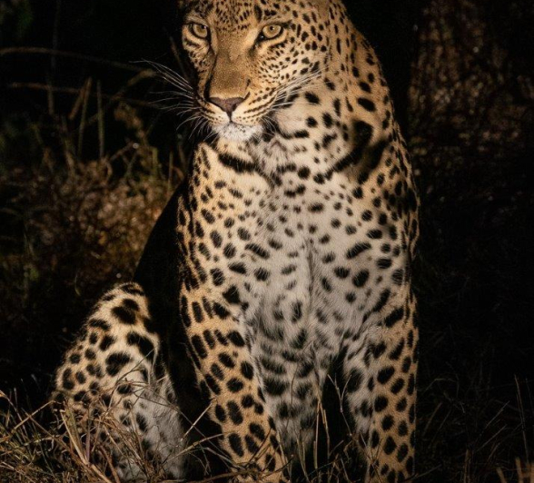 39Kerry Lee Roberg Ntsumi270519.2 Final 39Kerry Lee Roberg Ntsumi270519.2 Final