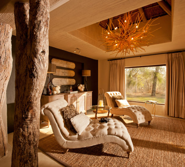 SABI SABI 31 10 15 174 800px SABI SABI 31 10 15 174 800px