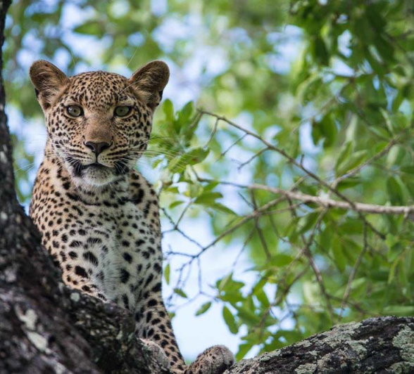 Terry Ennever HighlightsDecJan14