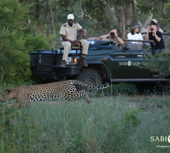 09Steff McWilliam Blog08 Final