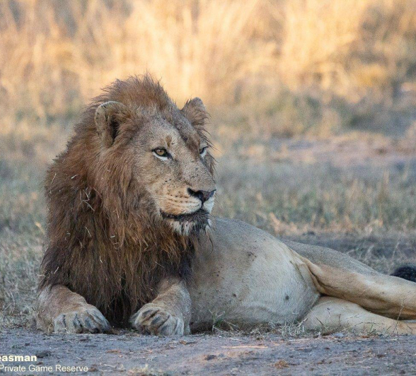 41Greg Heasman Nwas 09072020 5 Final