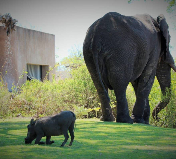 Earth Lodge Image 7 13022020 1200px