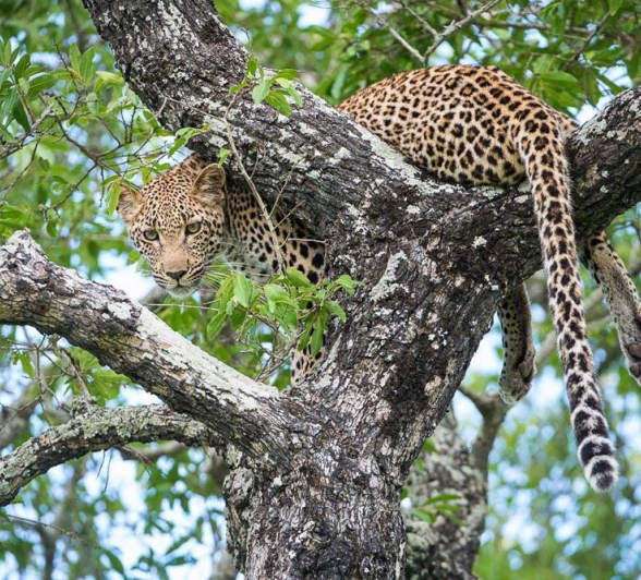 Terry Ennever HighlightsDecJan15