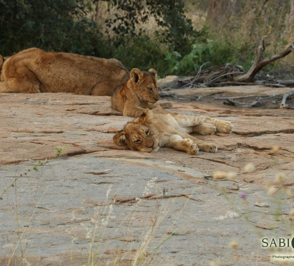 29Conrad Zeelie SP 4 Final