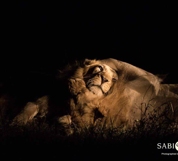 05Franscois Rosslee Avocas 30012018 Final