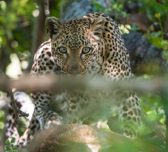 03Terry Ennever LBC 26 11 15