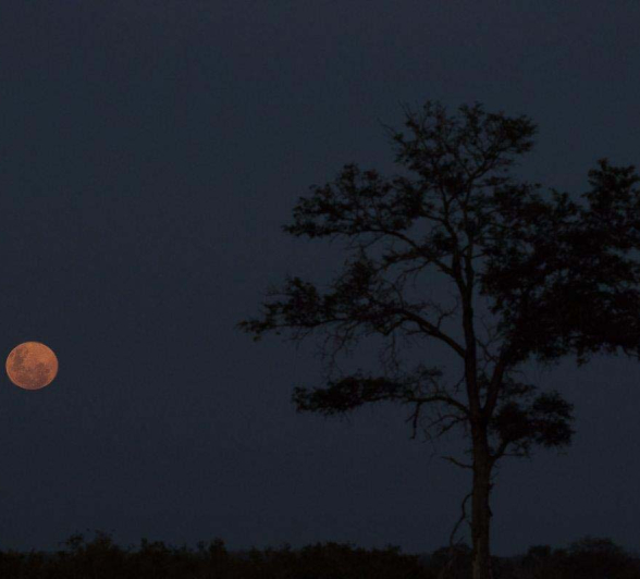 14Sheldon Hooper Red Moon 14Sheldon Hooper Red Moon