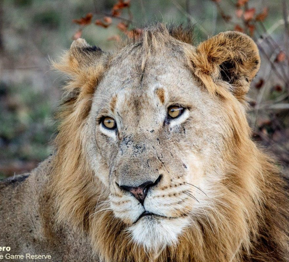 31ronald Mutero Ottawa Break Away 15062021 10 Final 31ronald Mutero Ottawa Break Away 15062021 10 Final
