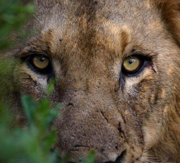 16Mike Palmer Charleston 050416