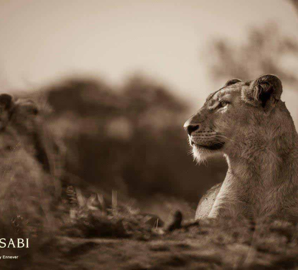 37Terry Ennever SP 2018514 1 Final 37Terry Ennever SP 2018514 1 Final