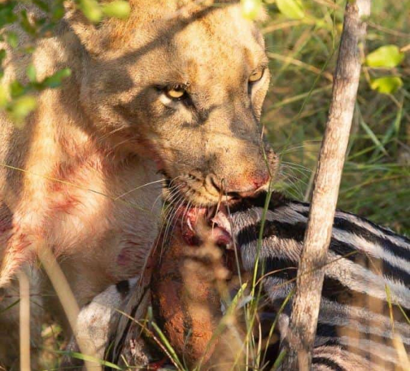 53Greg Heasman Sp 31032020 6 Final 53Greg Heasman Sp 31032020 6 Final