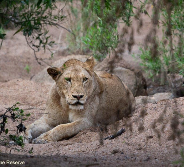 A32ronald Mutero Unknown Pride1 12042022 Final