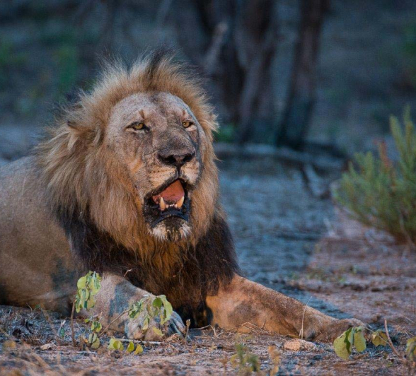 12Terry Ennever Sp1 27 2 15 12Terry Ennever Sp1 27 2 15