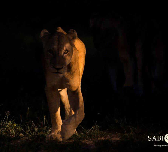 09Terry Ennever SP 26218 Final