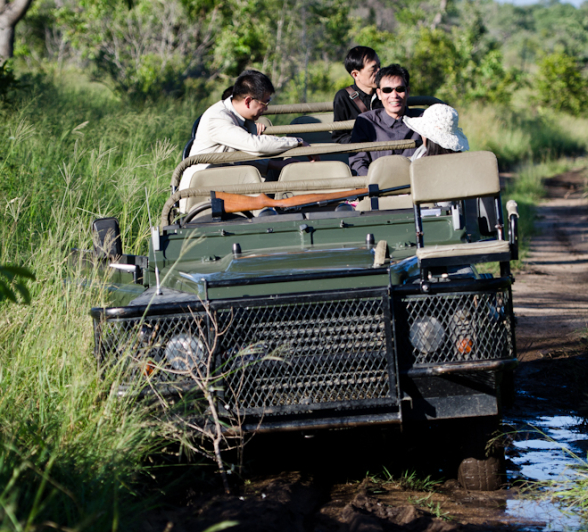 Safari Vehicle Stuck In The Mud