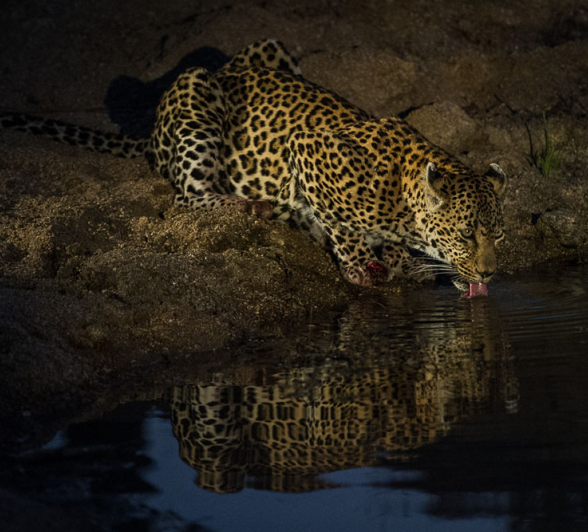 Nottins Rich 3 Nottins Rich 3