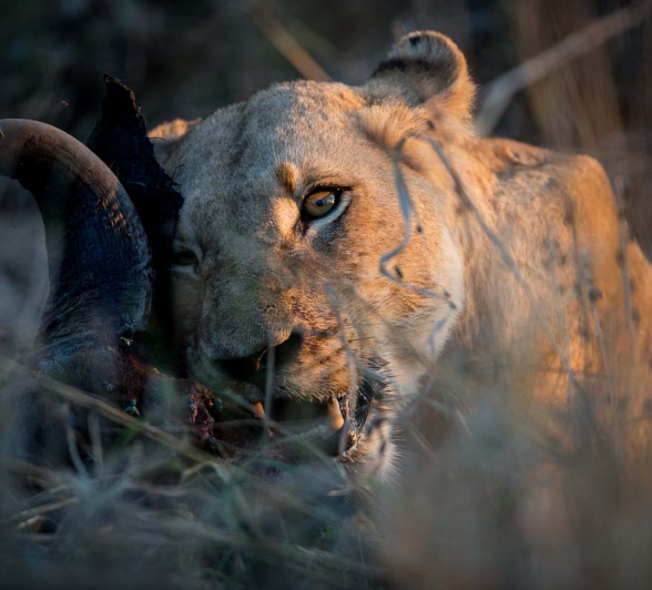 15Terry Ennever Highlights Sept Oct 18