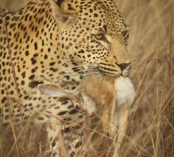 33Ally Ross 20190525 White Dam 02 Final 33Ally Ross 20190525 White Dam 02 Final