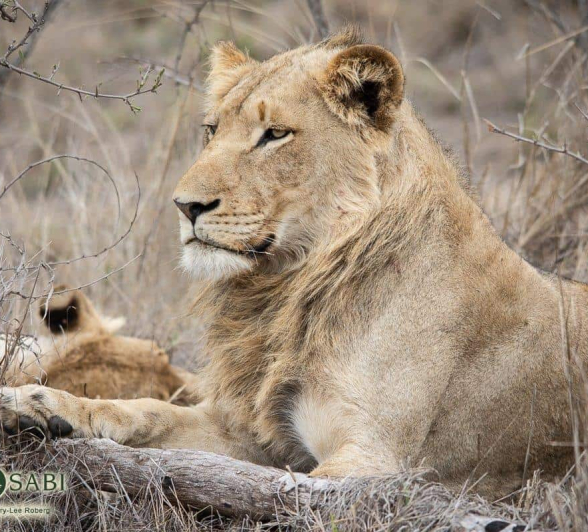 35Kerry Lee Roberg SP 041118.2 Final 35Kerry Lee Roberg SP 041118.2 Final