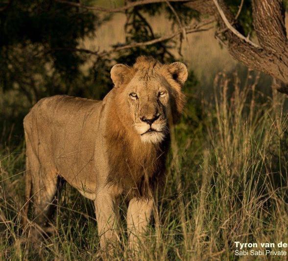 39Tyron Van Der Walt NWashishaka Males 210420 3 Final