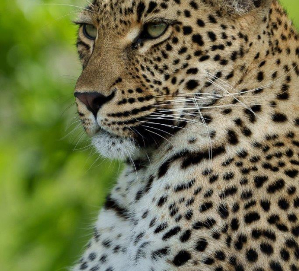 03Ally Ross 20221116 Goyloni Blog 04 Final