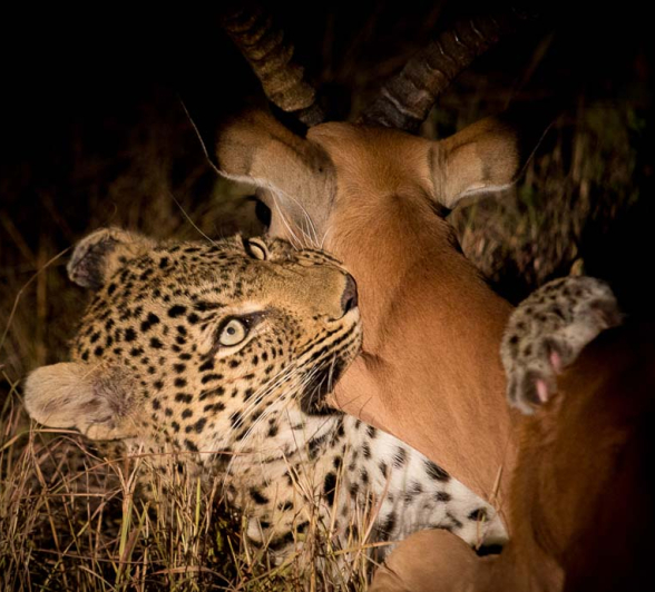 02Kosie Lategan WW Kill2 02Kosie Lategan WW Kill2