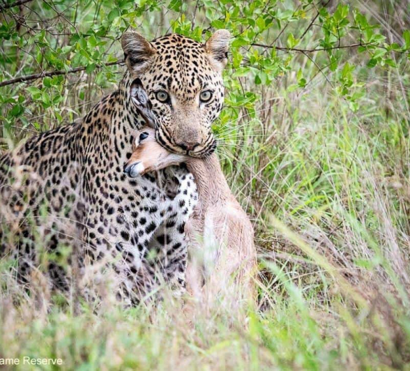 28ronaldmutero Nchila 22112020 17 Final 28ronaldmutero Nchila 22112020 17 Final