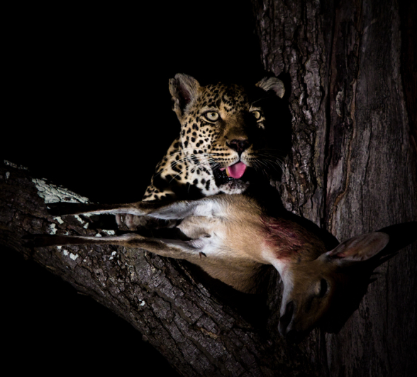 Nottins 7 Nottins 7