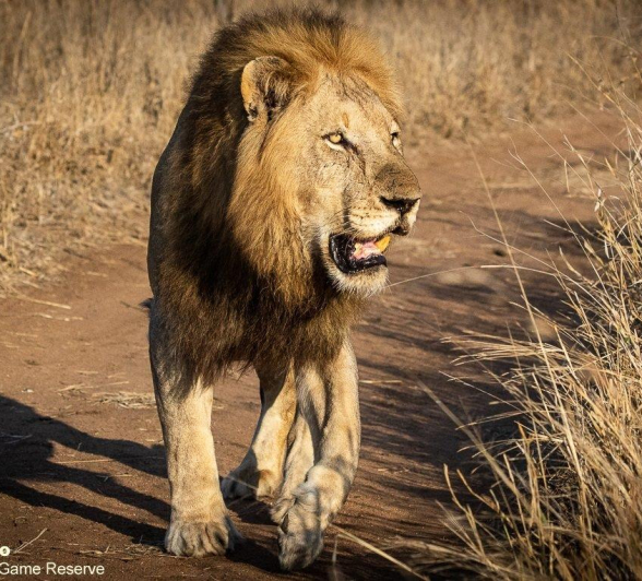 A18ronald Mutero Nwash 26092021  Final A18ronald Mutero Nwash 26092021  Final