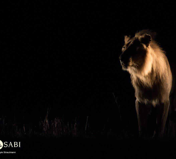 10Kyle 2 Feb Avoca Hunt 16 Final 10Kyle 2 Feb Avoca Hunt 16 Final