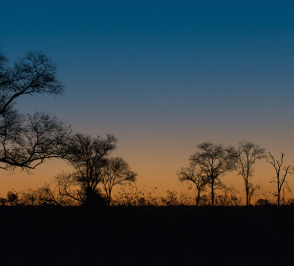 Cycleshighlightsjune13 6 N