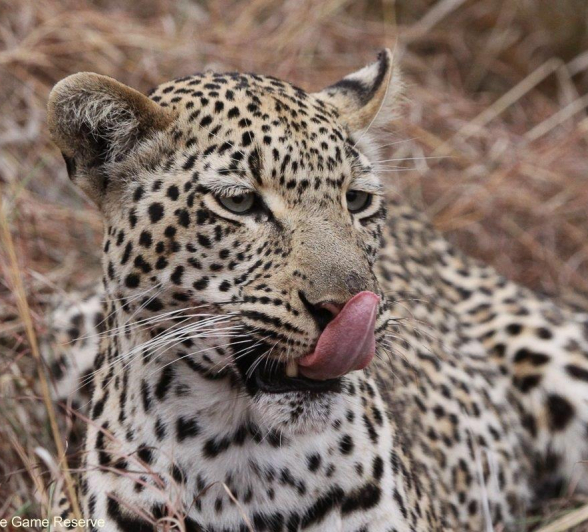 B02Erin Herbst Ngumi 2 250821 Final B02Erin Herbst Ngumi 2 250821 Final