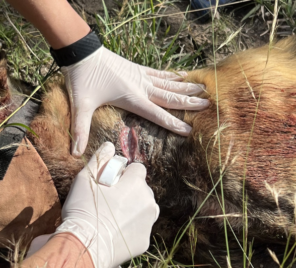 09Jason Street Cleaning The Wounds 110622 1 Final