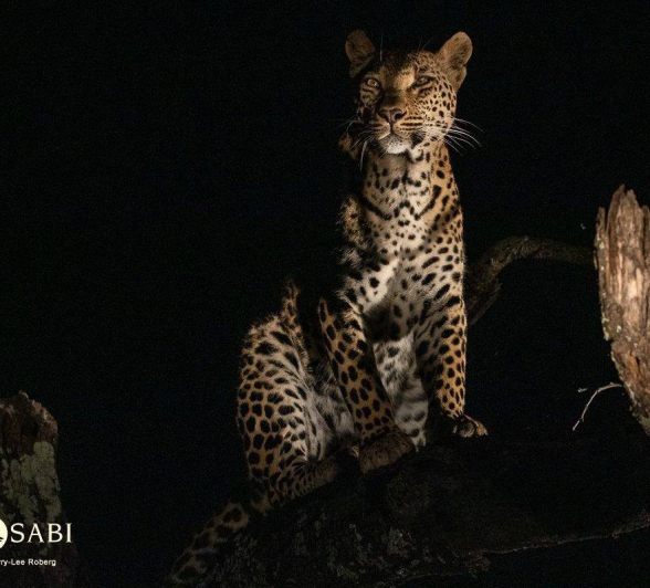 08Kerry Lee Roberg Ntsumi 130419.2 Final