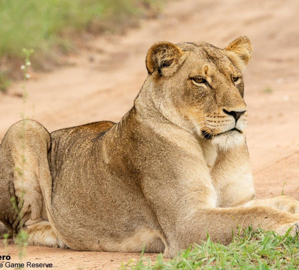 01ronald Mutero Talamati Female 01012023 Final