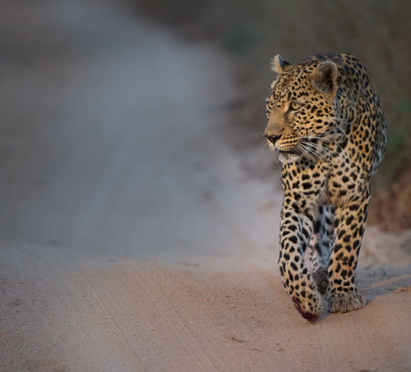 Nottins Rich 2 Nottins Rich 2