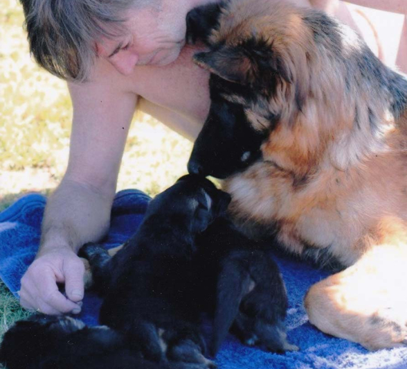 02Courtney Dalziel Dad And Pups