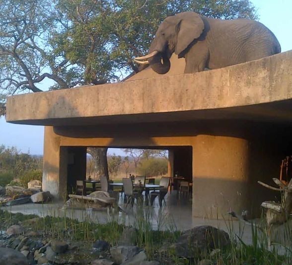 Earth Lodge Image 3 13022020 1200px Earth Lodge Image 3 13022020 1200px